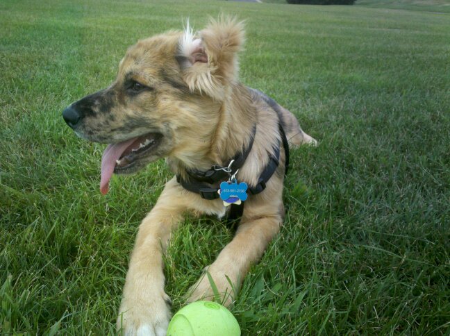 226022_778119949679_6237194_n