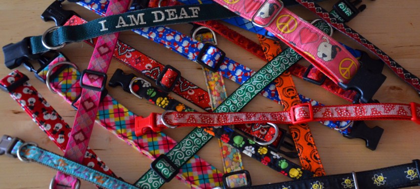 Help! I don’t know what collar to buy!