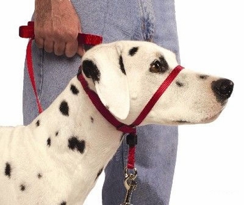 petsafe-gentle-leader-quick-release-headcollar-7