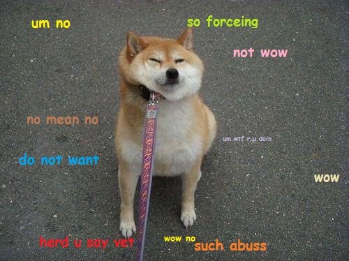 What! Your dog does not want to walk on a leash?