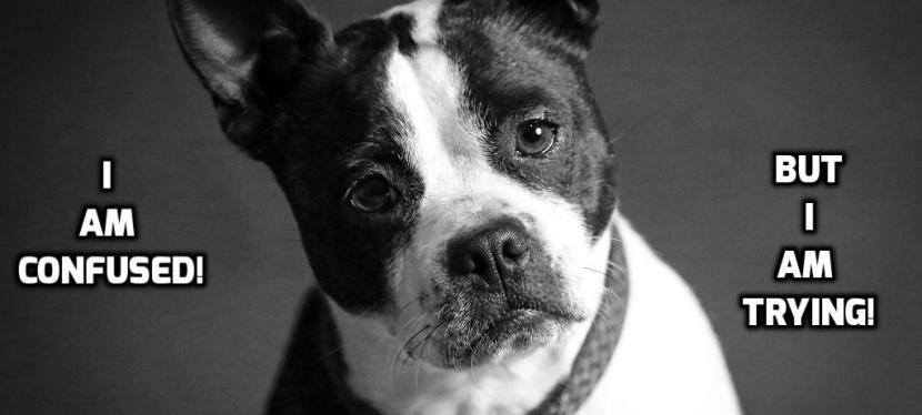 Feeling frustrated while training?