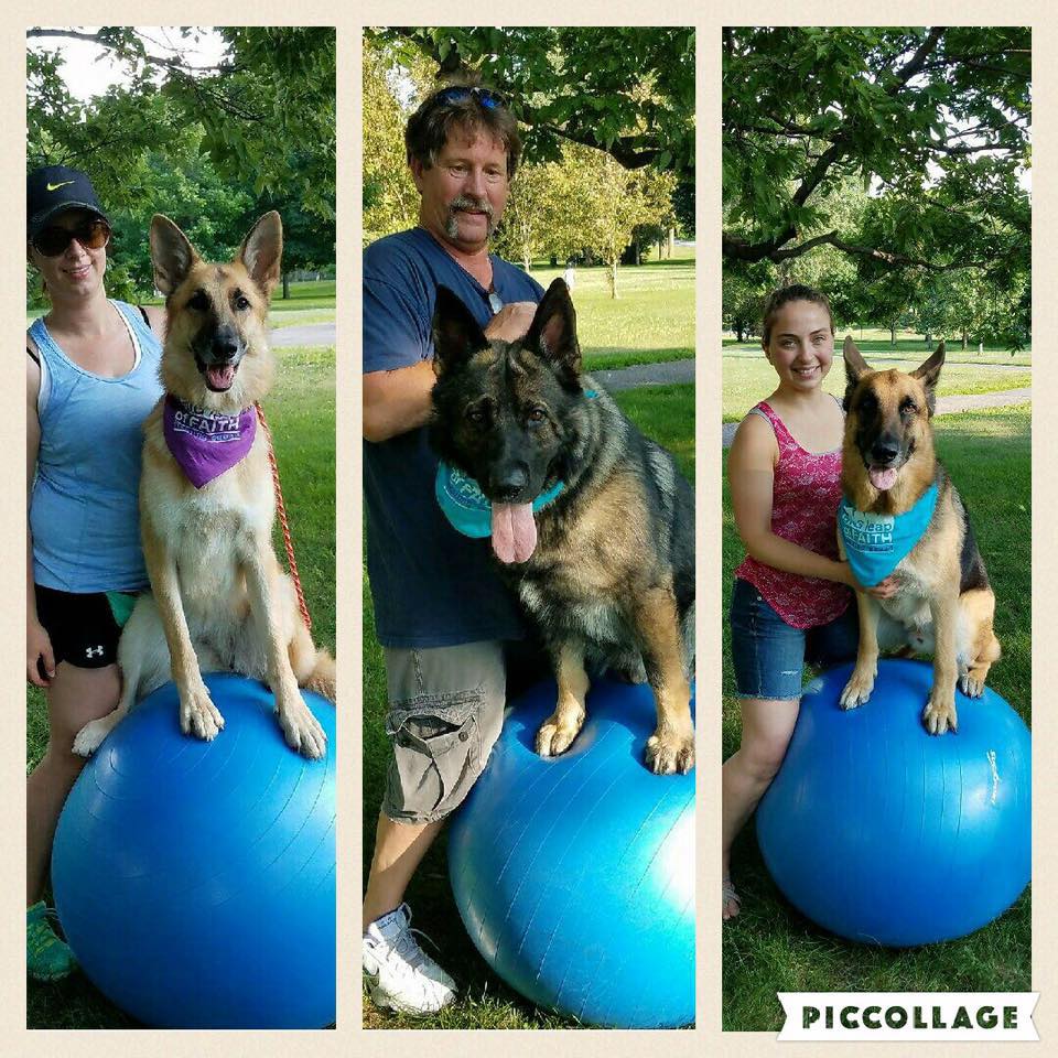 20046407_344567725963147_96205948184929659_n