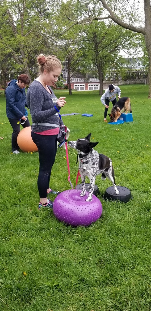 61046976_704693339950582_1005475058291834880_o