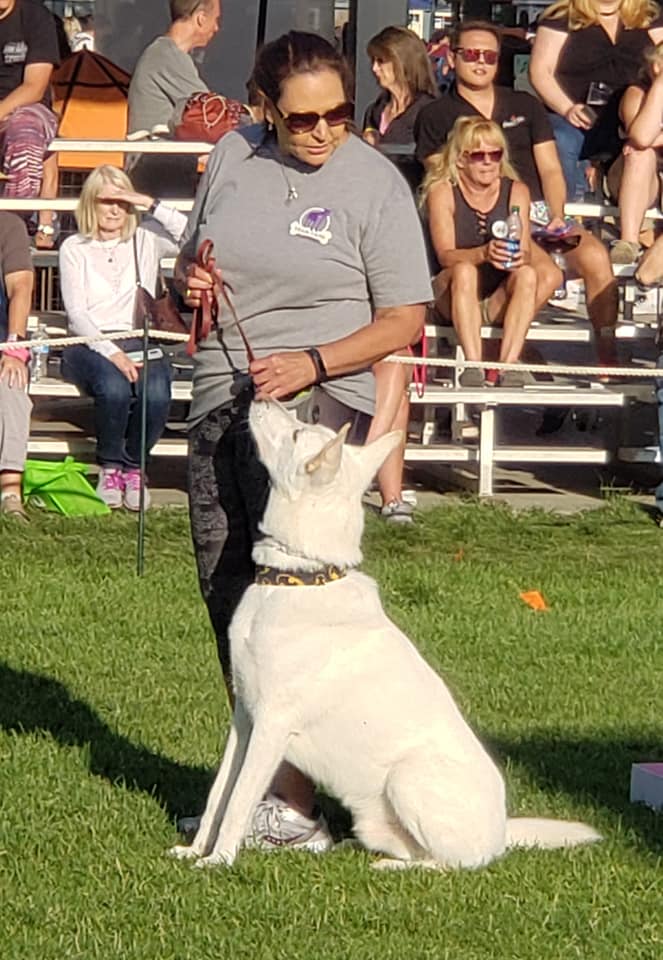 68916863_762201364199779_1289854326247784448_n