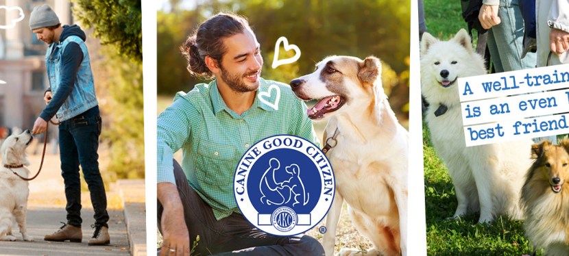 Canine Good Citizen&nbsp;Testing